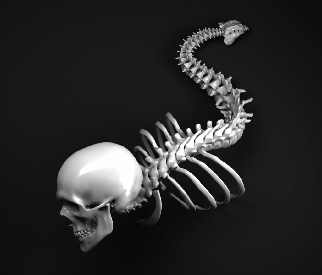 Rufus, Ruthless Spine Mascot in 3D