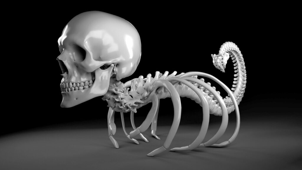 Rufus: The Skeleton Character that Helps Spread Spine Health Education
